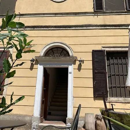 Patrizia Sienne